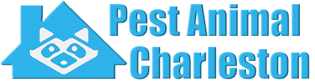 Charleston Wildlife and Animal Removal
